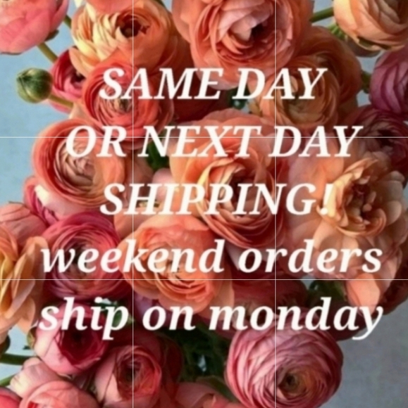 Pillows/Blankets. - Picture 2 of 2